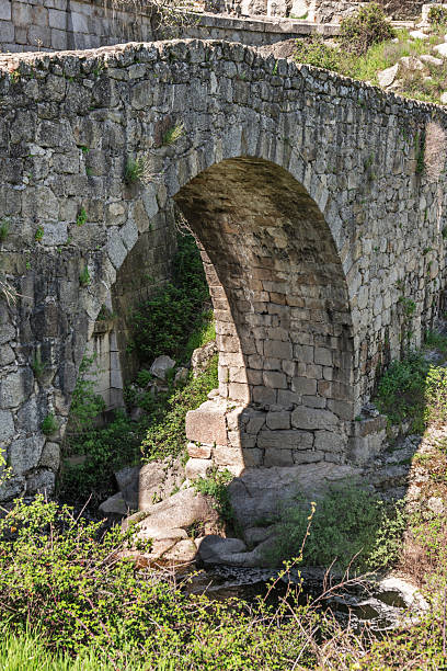 istock Bridges have their origin in the same prehistory. Possibly the first bridge in history was a tree that a prehistoric being used to connect the two banks of a river 2240309287