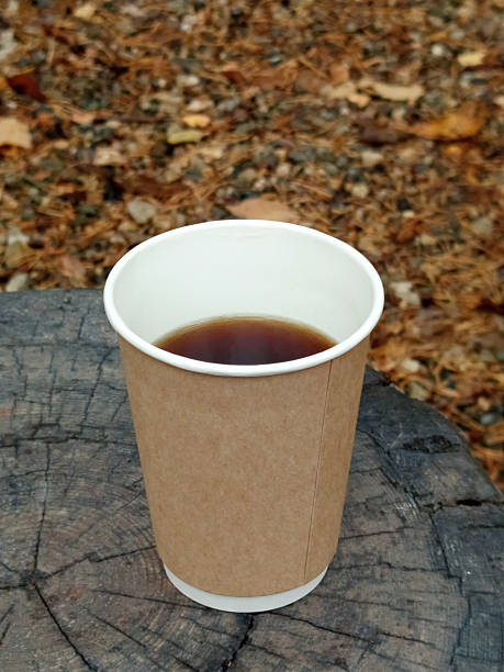 istock Americano coffee in a paper cup on a stump in the forest 2240315201