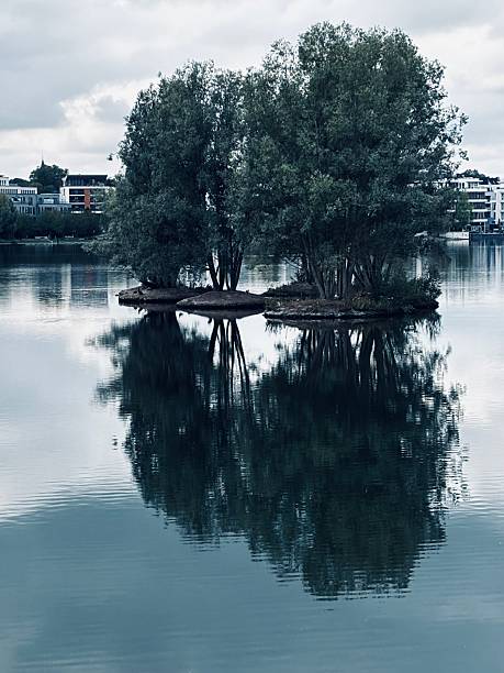 Small island on Phoenix Lake in Dortmund, Ruhr area