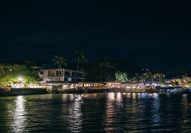 istock Night Waterfront With Palm Trees And Oceanfront Dining Under City Lights 2240328190