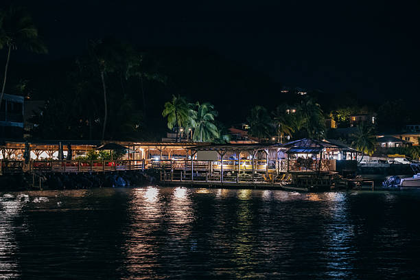 Night Waterfront With Palm Trees And Oceanfront Dining Under City Lights