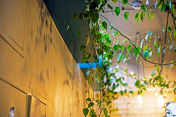istock Decorative decoration with live ivy in a modern interior 2240330321