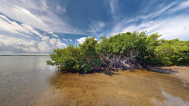 istock Florida Keys Boat Marina 2240333078