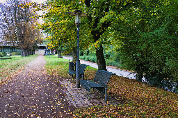 Autumn park pathway with benches under colorful trees and fallen leaves atmosphere