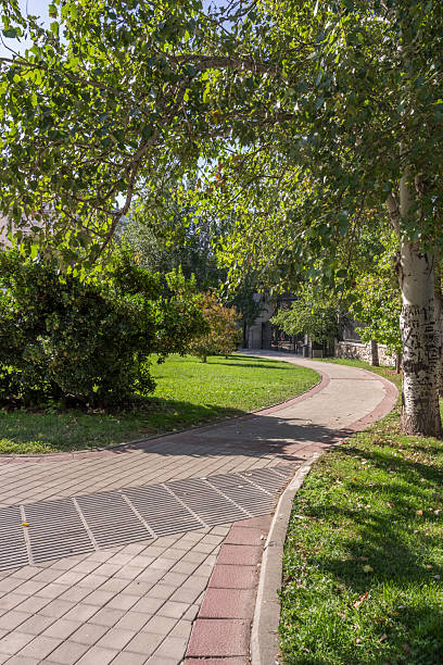 istock Two-color cement tile walkway in an urban park with leafy trees 2240336593