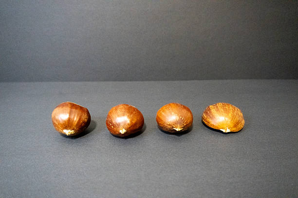 istock Fresh chestnuts – autumn seasonal concept 2240339553