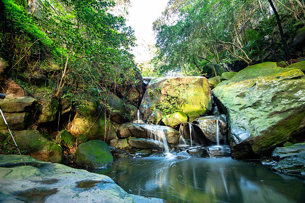 istock Small waterfall flowing over sandstone in a lush green forest 2240339733