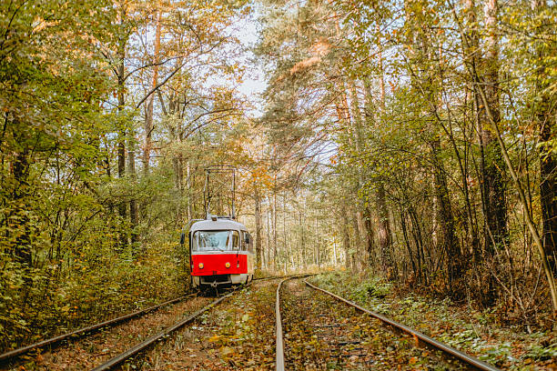 istock Vintage train journey through a tranquil forest in autumn 2240340477