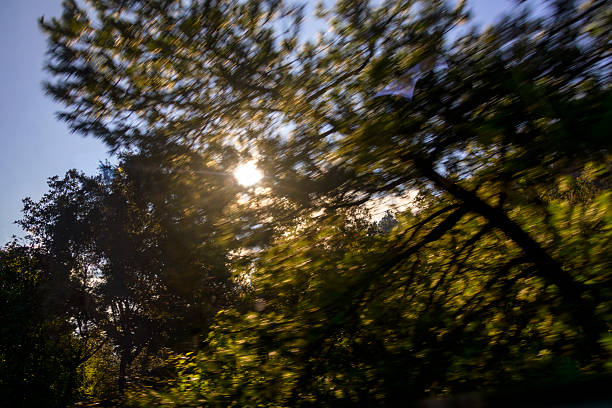 Pov looking up at the sky on the road