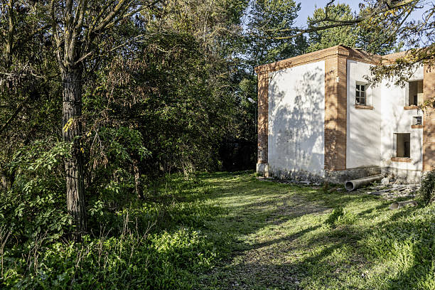 Værløse, Copenhagen, Denmark - July 19th 2023: Yellow brick residential house behind a hedge, it is normal in Danish suburbs to have hedges round the house and garden to protect the privacy of the residents
