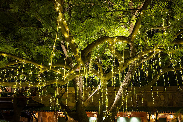 istock Festive Night Scene With Warm White Fairy Lighting 2240362204