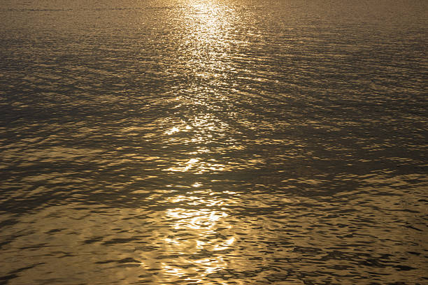 Golden surface of the water at sunset