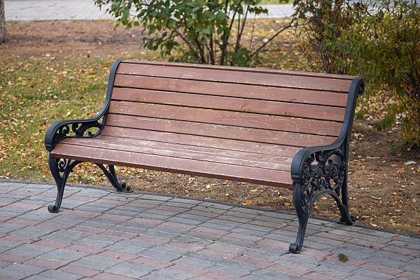 istock Wooden park bench in autumn 2240365183