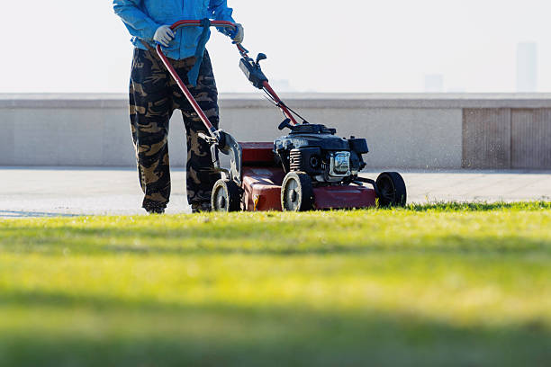 african american gardener with a lawnmower pushing on the green grass, cutting trimming the grass in a park