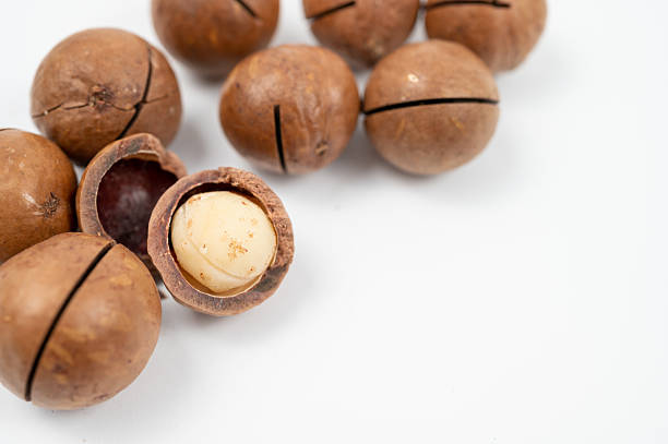 istock Whole and cracked macadamia nuts on white background, with one open shell revealing the edible nut inside. 2240367237