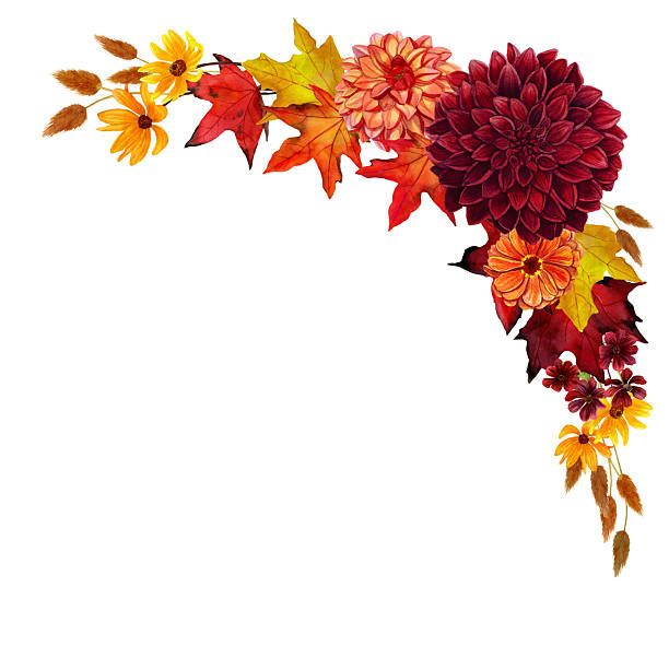 istock Watercolor autumn garden flower floral illustration 2240367667