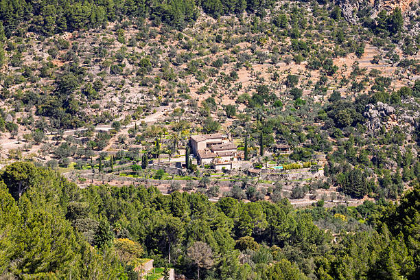 A house in the orchard of Valencia is surrounded by vibrant fields and fruit trees, offering a tranquil retreat in the heart of nature.