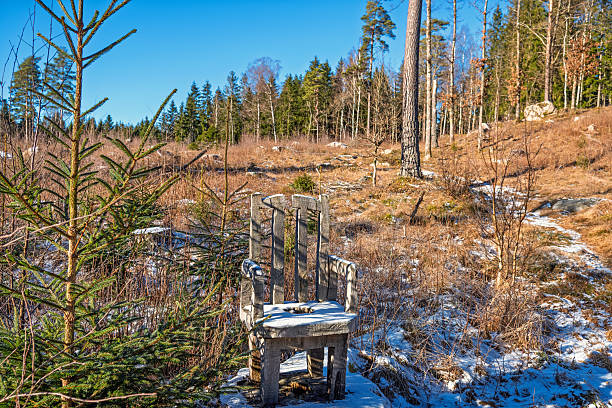 Clear Cutting area with a chair carved from a tree stump