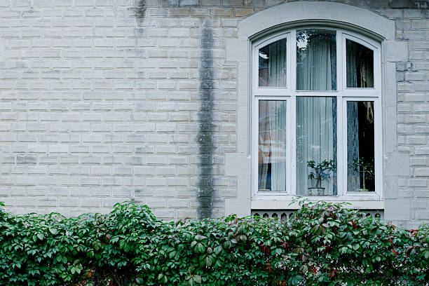 A rustic wooden-framed window with lace curtains is decorated with colorful flowers on the windowsill. The simple, weathered wall provides a charming contrast to the bright pink and purple blossoms, adding a vibrant touch to the otherwise minimalist exterior.