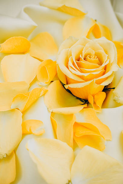 Wedding flowers