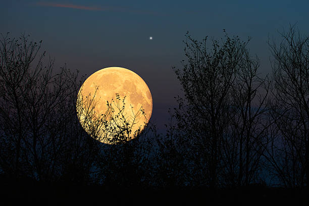 istock Full Moon, stars, planets and landscape scenery silhouettes. 2240384126
