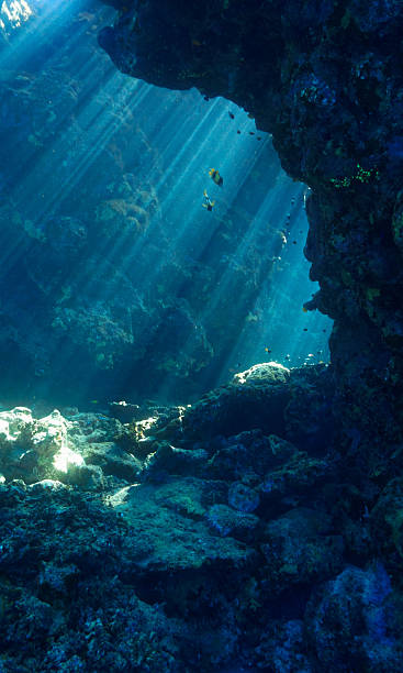 istock Heaven underwater - cathedral with rays of sunlight. 2240389531