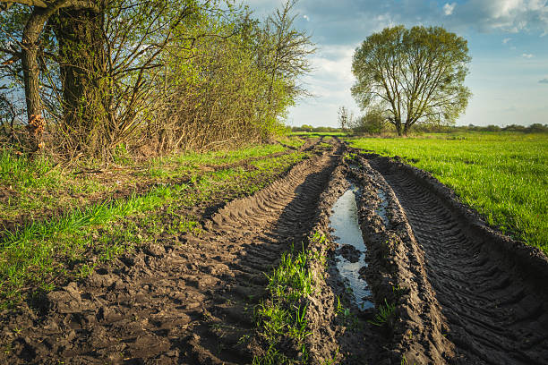 istock Muddy dirt road with trees and meadow 2240391120