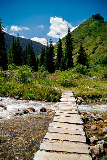 istock a rustic wooden bridge spanning a shallow stream in a lush, green mountainous landscape 2240392655