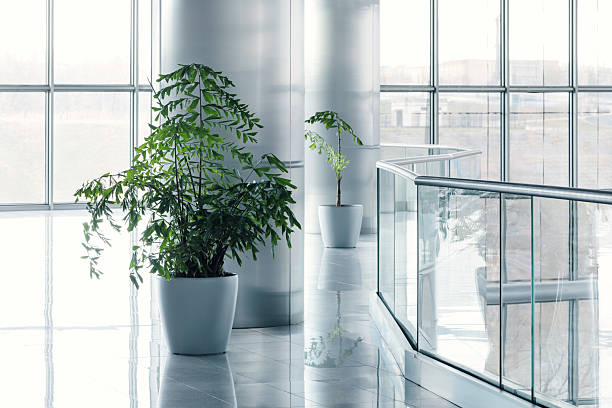 istock Sleek, modern glass and steel corporate lobby 2240394479