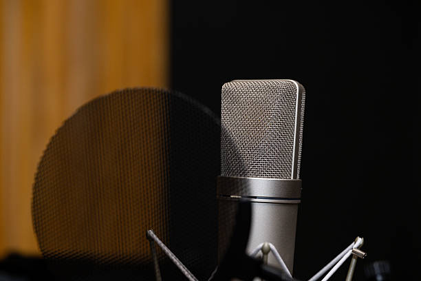 istock Professional Microphone in a Recording Studio with Acoustic Paneling and Pop Filter 2240395266