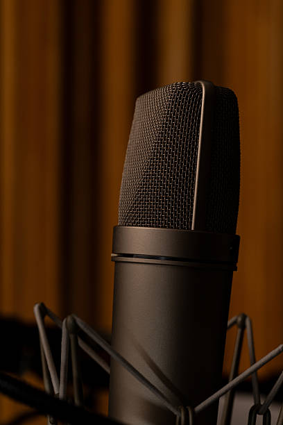 istock A Professional Black Condenser Microphone in a Recording Studio with Warm Wooden Background 2240395320