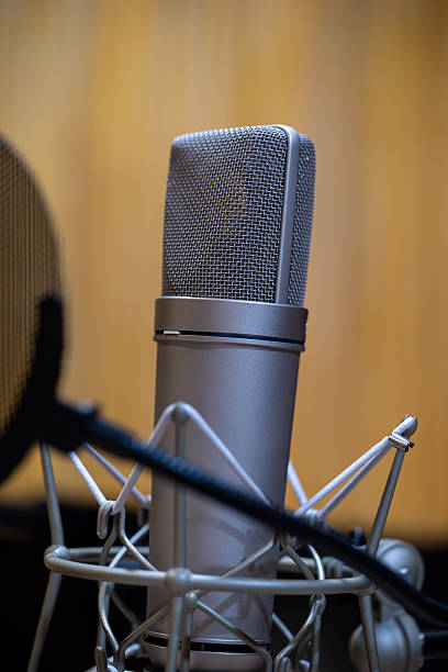 istock Professional Condenser Microphone in a Recording Studio Setup with Shock Mount and Pop Filter 2240395637