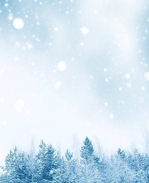 istock Landscape. Blurred. Frozen winter forest with snow covered trees. 2240396912