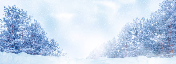 istock Landscape. Frozen winter forest with snow covered trees. 2240396913
