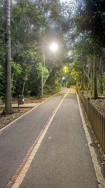 istock Alvorecer Park Pato Branco City 2240403192