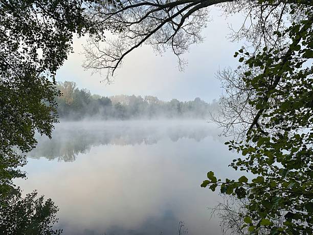 Misty Dawn Over a Still Forest Lake Framed by Green Trees stock photo