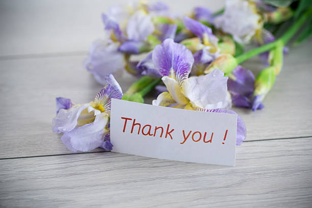 istock Iris flowers with lilac petals with gratitude 2240406776