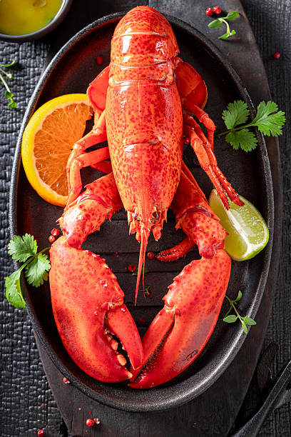 istock Teasty red lobster flavored with citrus and butter. 2240407604