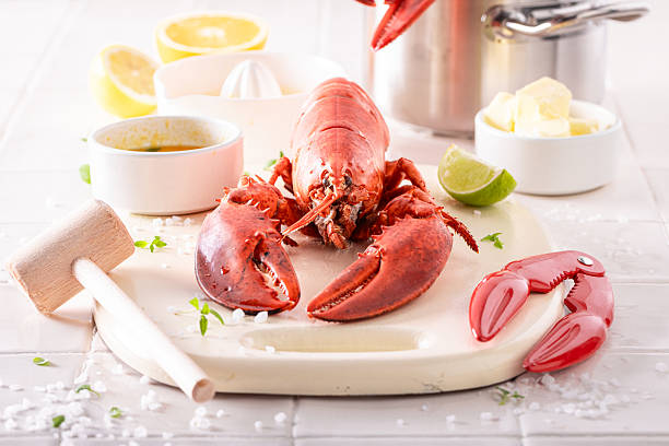 istock Cooked red lobster as healthy summer appetizer. 2240408471