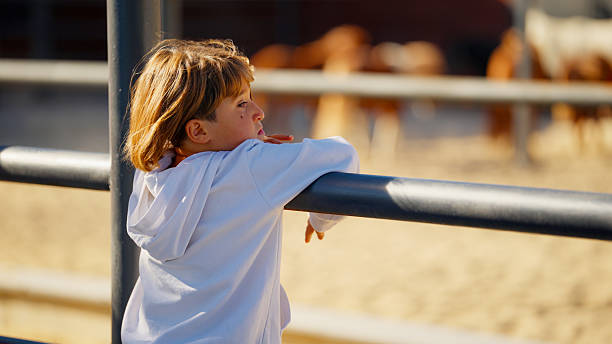istock Small boy enjoys watching horses at the zoo 2240409624