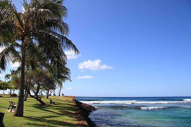 istock Hawaii Honolulu scenery November 2009 2240413711