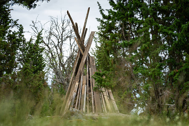 Preparation for a Bonfire. Midsummer bonfire on the beach meadow. Ancient bonfire festival.