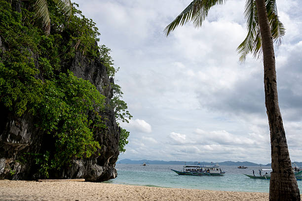 Tropical beach and palm trees, Palawan