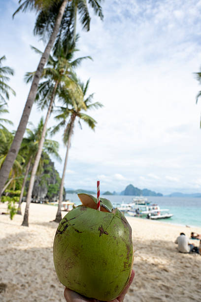 Tropical beach and palm trees