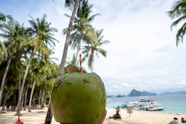 Tropical beach and palm trees, Palawan