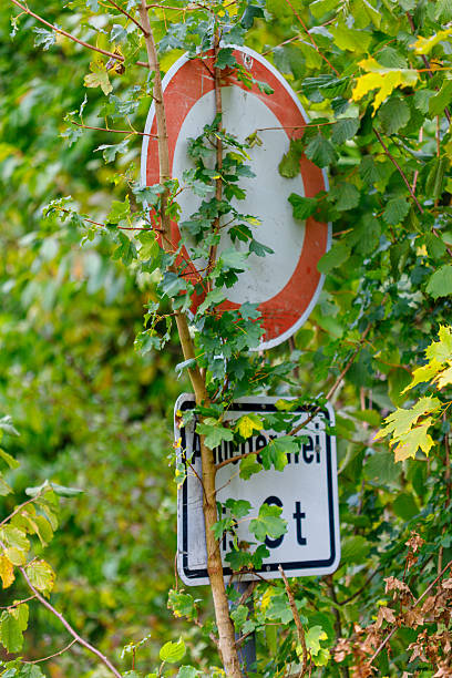 istock Traffic Signs Obscured by Foliage 2240424968