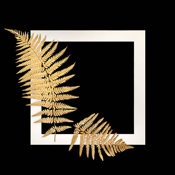 istock Gold Fern Leaf Fronds Background Border Frame 2240426129