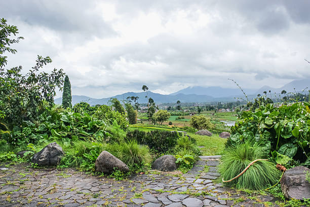 Scenic Mountain View with Green Fields