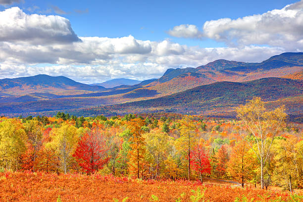istock Mount Blue State Park in Maine 2240431826