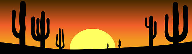 istock Sunset in the Desert with Cacti Many Cacti Nature Scenery for Panorama Background Illustration 2240434450